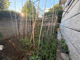 Casa de piedra con piscina y jardín en Camos, Nigrán — foto 27
